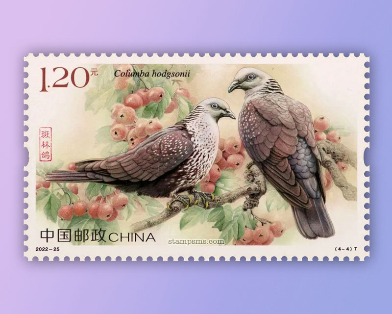 11月5日发行《鸽》特种邮票(大图)
