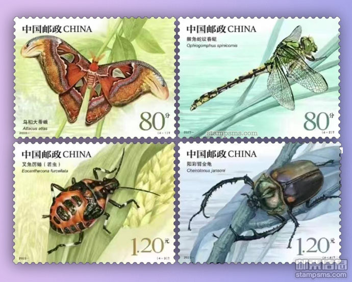 8月23日发行《昆虫(二)》特种邮票图稿亮相